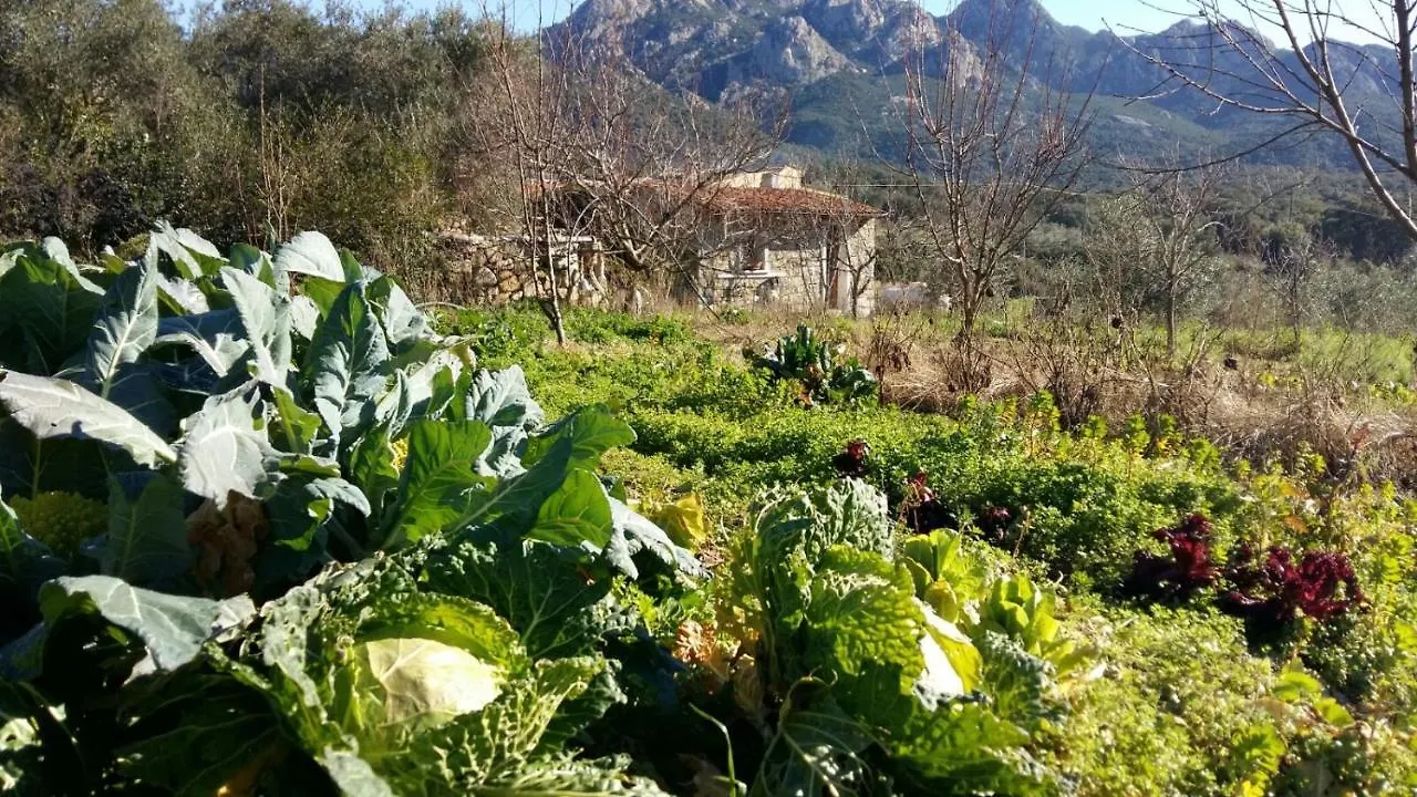 La Casetta Padru